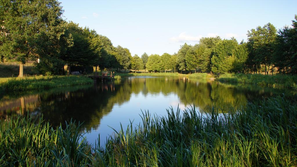 Ferienhaus Am Flaumbach Villa Blankenrath Esterno foto